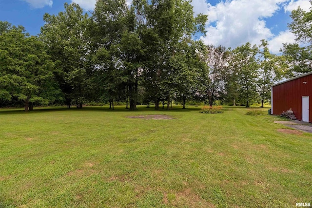 13399 S County Line Rd, West Frankfort, IL 62896 - view of grassy yard with an outbuilding