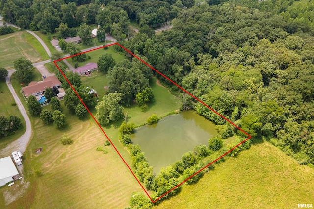 13399 S County Line Rd, West Frankfort, IL 62896 - aerial overview of property's location with a large body of water and property boundaries highlighted