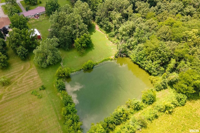 13399 S County Line Rd, West Frankfort, IL 62896 - aerial view of sparsely populated area with a large body of water