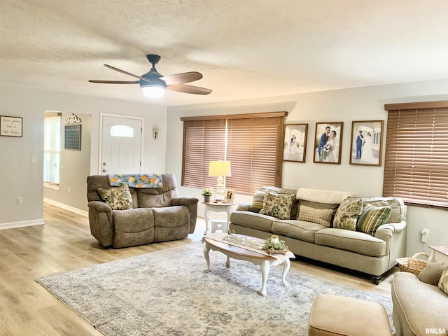 1203 W Goodall St, Marion, IL 62959 - living area featuring wood finished floors, ceiling fan, and a textured ceiling
