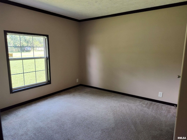 45 Davis Ridge Rd, Eldorado, IL 62930 - carpeted spare room featuring crown molding and a textured ceiling