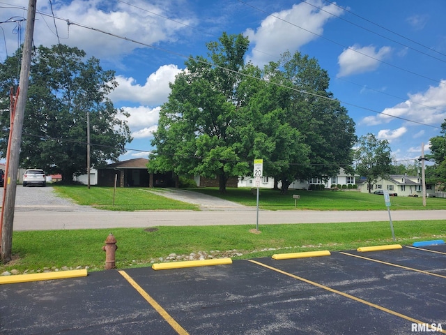 600 W Collins St, Goreville, IL 62939 - view of uncovered parking lot