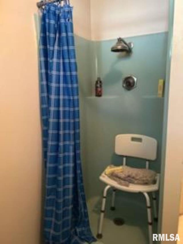 600 W Collins St, Goreville, IL 62939 - full bath featuring a shower with shower curtain