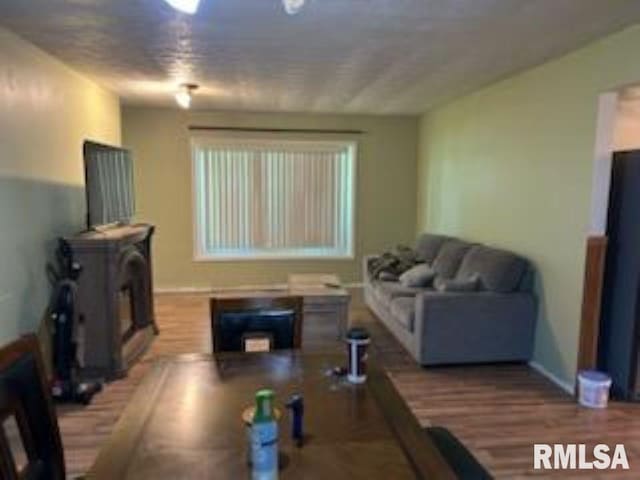 600 W Collins St, Goreville, IL 62939 - living room with wood finished floors and baseboards