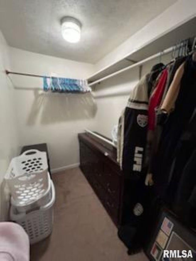 600 W Collins St, Goreville, IL 62939 - view of walk in closet