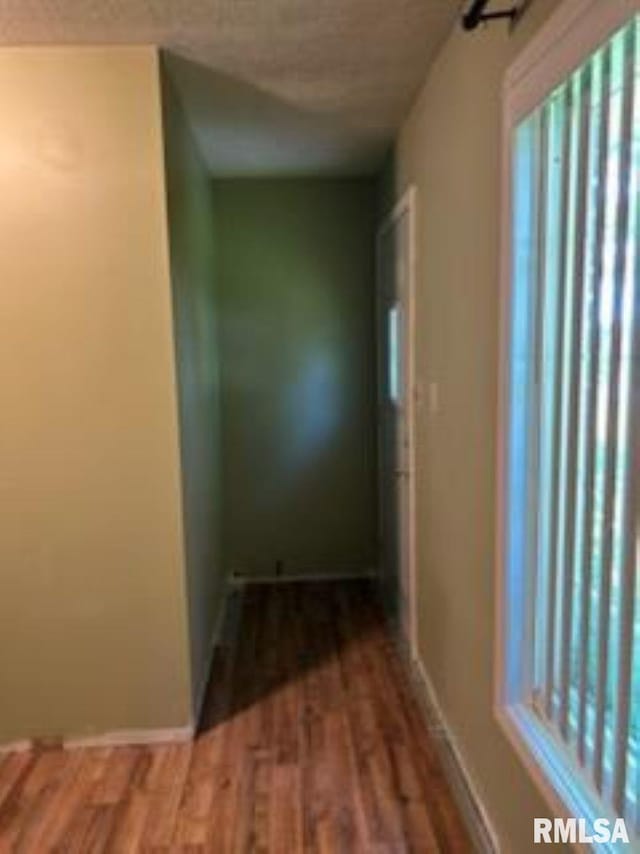 600 W Collins St, Goreville, IL 62939 - corridor with wood finished floors