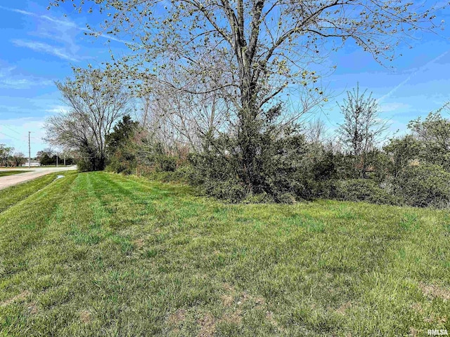 8741 Majestic Dr, Duquoin, IL 62832 - photo 35