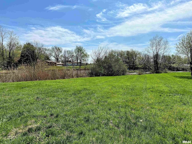 8741 Majestic Dr, Duquoin, IL 62832 - photo 42
