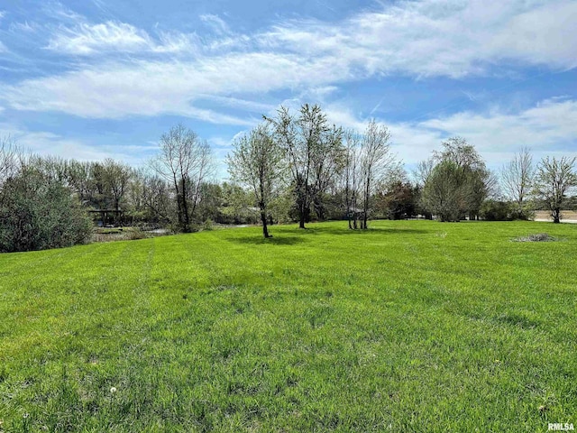 8741 Majestic Dr, Duquoin, IL 62832 - photo 43