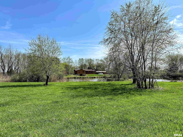 8741 Majestic Dr, Duquoin, IL 62832 - photo 44