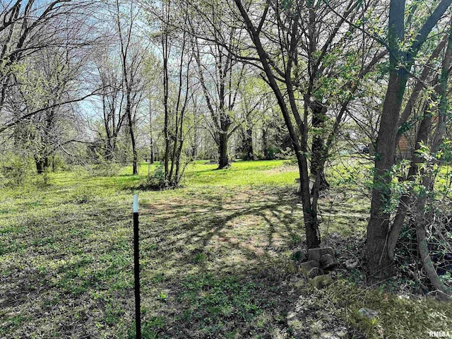 8741 Majestic Dr, Duquoin, IL 62832 - photo 67