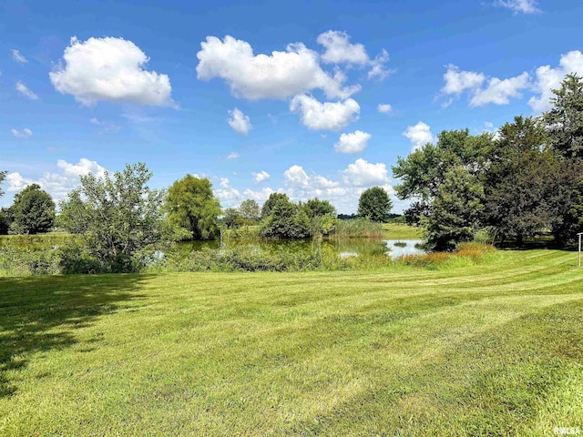 8741 Majestic Dr, Duquoin, IL 62832 - photo 69