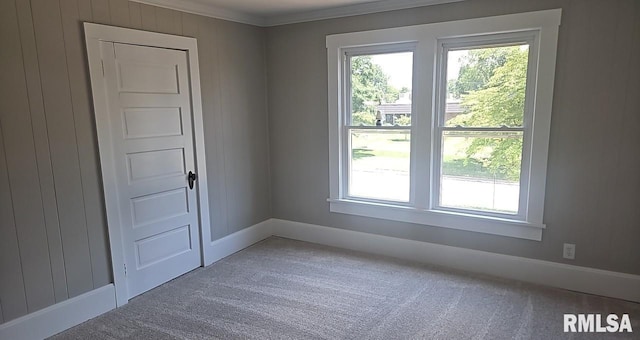 202 E 8th St, Mount Carmel, IL 62863 - unfurnished room with carpet and crown molding