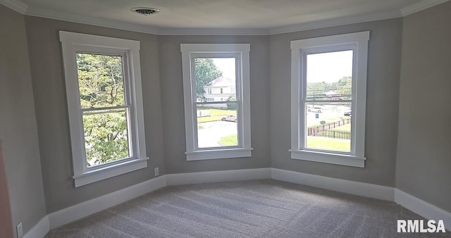 202 E 8th St, Mount Carmel, IL 62863 - spare room featuring plenty of natural light, carpet floors, and crown molding
