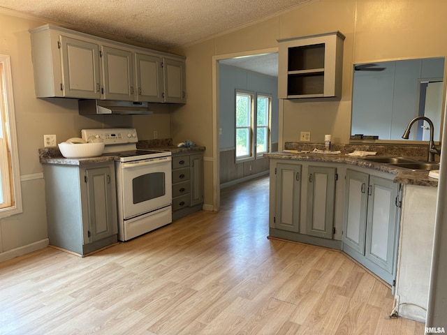 2780 Campground Rd, Anna, IL 62906 - kitchen with electric range, ornamental molding, gray cabinets, under cabinet range hood, and light wood-type flooring