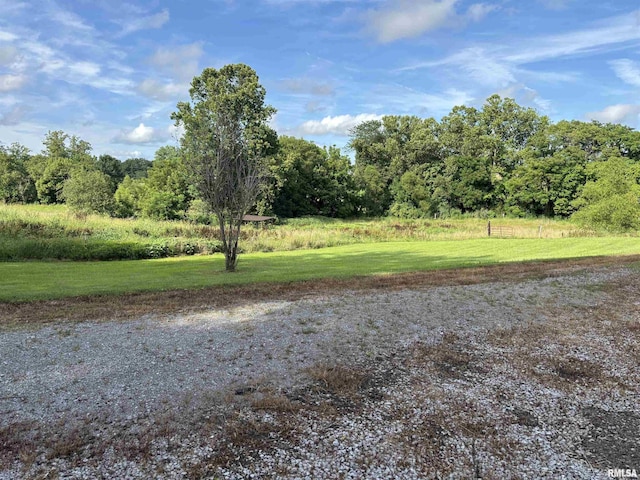 2780 Campground Rd, Anna, IL 62906 - view of road