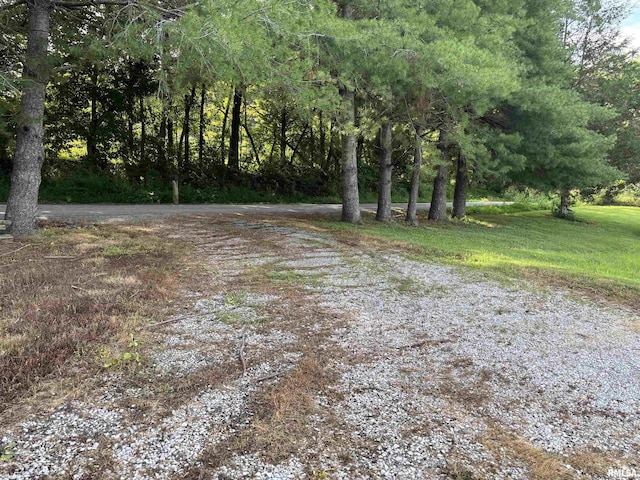 2780 Campground Rd, Anna, IL 62906 - view of road
