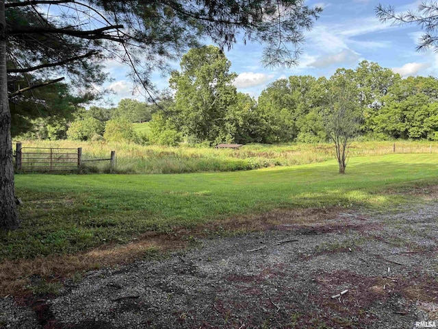 2780 Campground Rd, Anna, IL 62906 - view of yard with a forest view