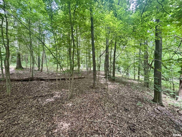 000 Stoneface Rd, Harrisburg, IL 62947