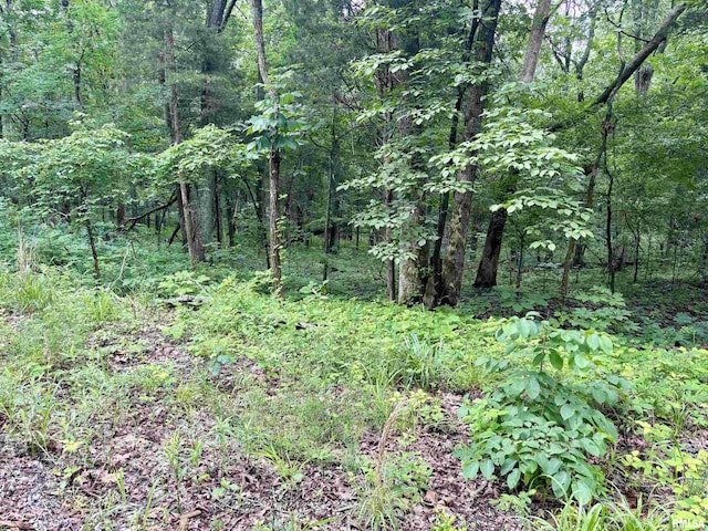 000 Stoneface Rd, Harrisburg, IL 62947