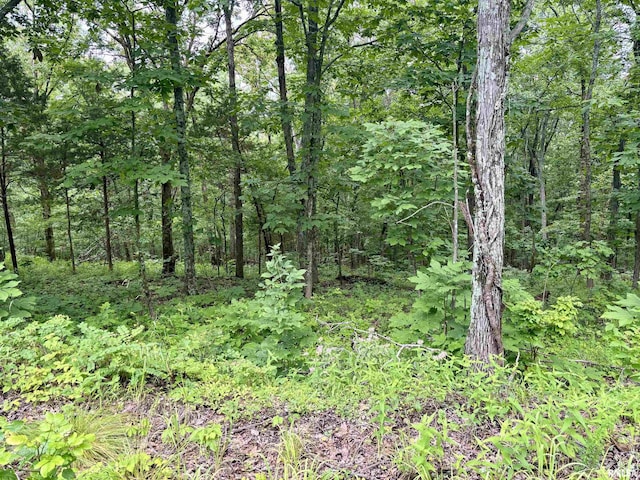 000 Stoneface Rd, Harrisburg, IL 62947