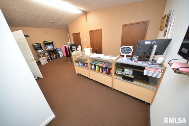 793 County Road 635 E, Wayne City, IL 62895 - office area with lofted ceiling and carpet floors