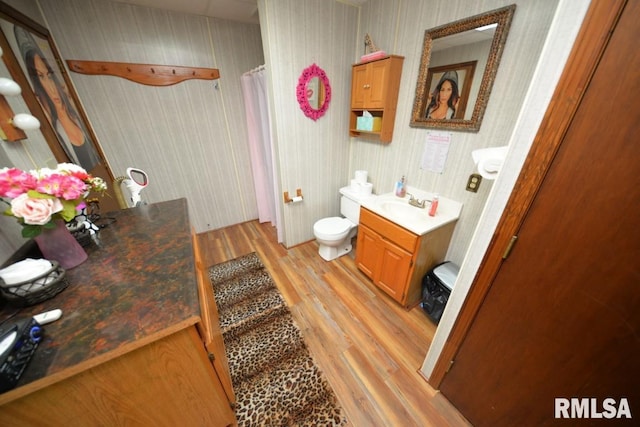 793 County Road 635 E, Wayne City, IL 62895 - full bath with wood finished floors and vanity
