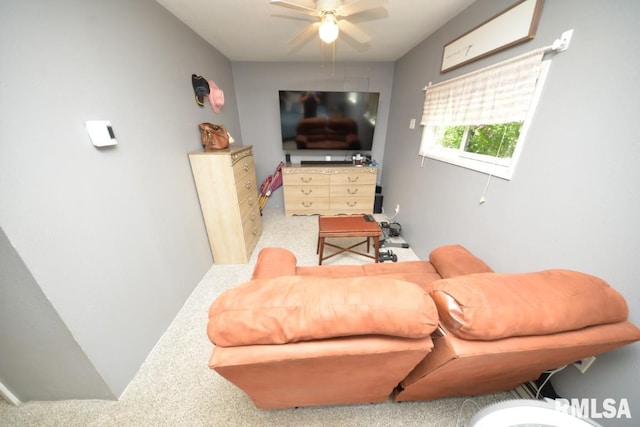 793 County Road 635 E, Wayne City, IL 62895 - carpeted living room with a ceiling fan