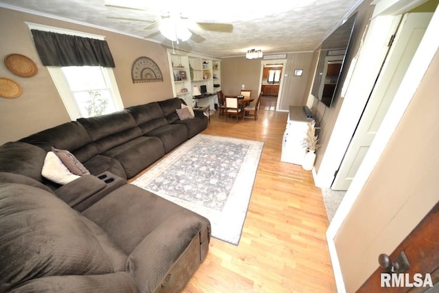 793 County Road 635 E, Wayne City, IL 62895 - living area featuring light wood-style flooring, a ceiling fan, and crown molding