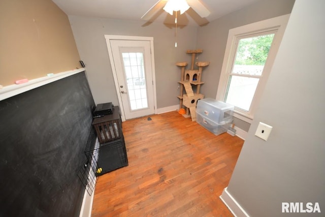 793 County Road 635 E, Wayne City, IL 62895 - office with wood finished floors and a ceiling fan