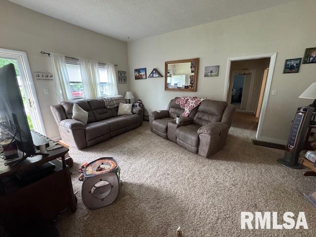 303 Elles Ave, Carterville, IL 62918 - view of carpeted living room