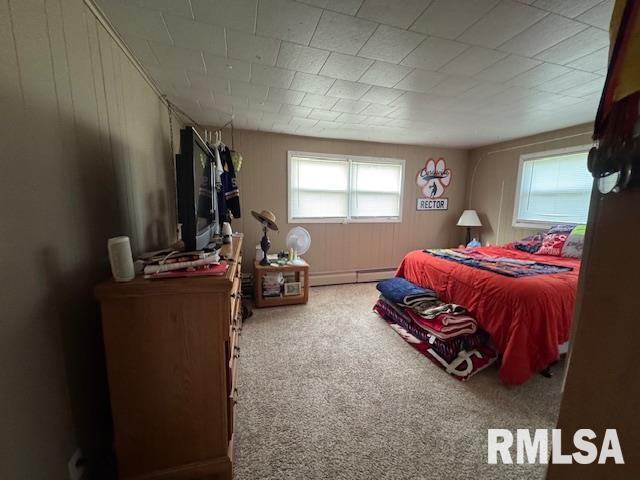303 Elles Ave, Carterville, IL 62918 - carpeted bedroom with a baseboard heating unit and wood walls