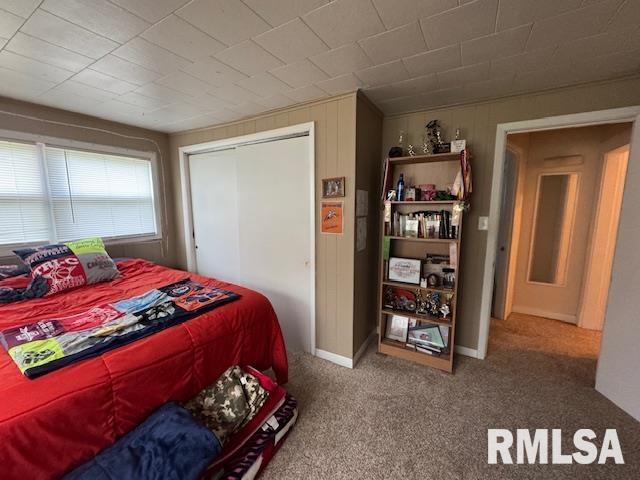303 Elles Ave, Carterville, IL 62918 - carpeted bedroom featuring a closet