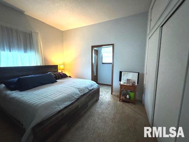 303 Elles Ave, Carterville, IL 62918 - bedroom with carpet floors and a closet