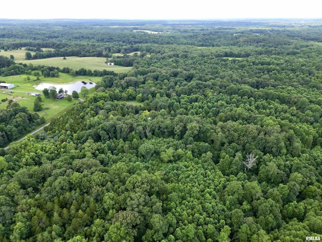 000 Birdwell Church Rd, Creal Springs, IL 62922