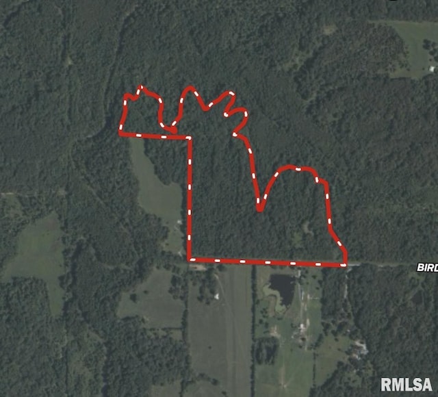 000 Birdwell Church Rd, Creal Springs, IL 62922