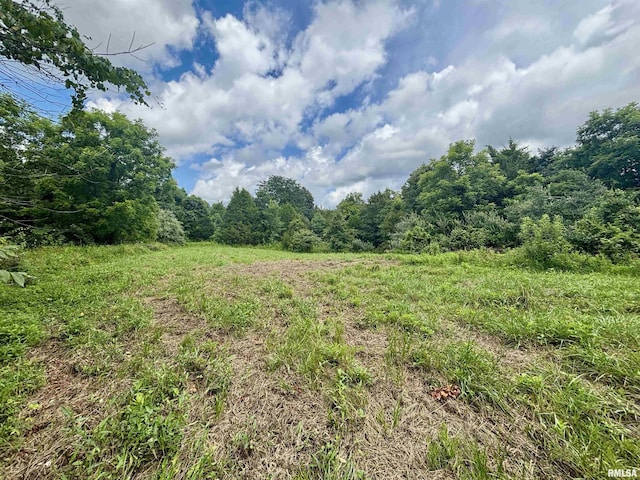 000 Birdwell Church Rd, Creal Springs, IL 62922