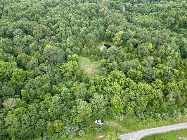 000 Birdwell Church Rd, Creal Springs, IL 62922
