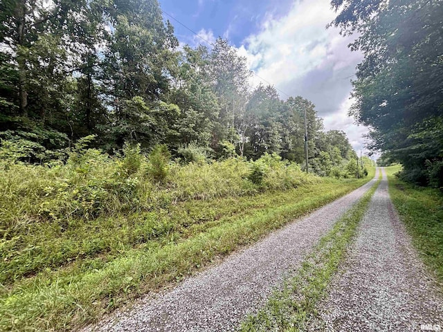 000 Birdwell Church Rd, Creal Springs, IL 62922