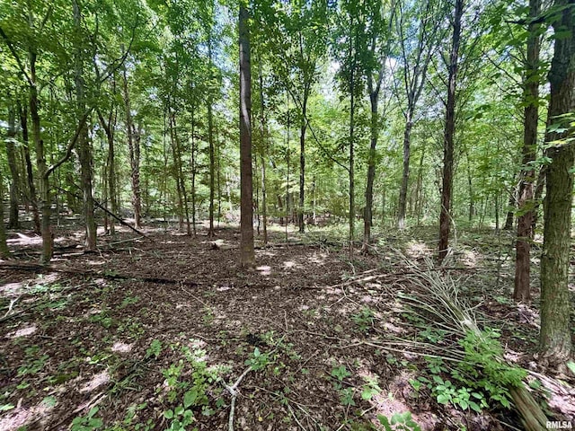 000 Birdwell Church Rd, Creal Springs, IL 62922