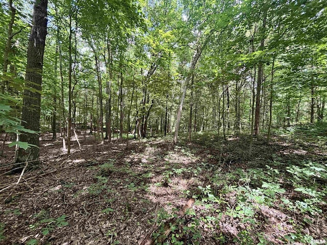 000 Birdwell Church Rd, Creal Springs, IL 62922