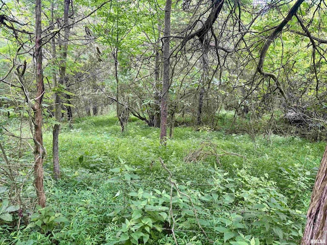 000 Birdwell Church Rd, Creal Springs, IL 62922