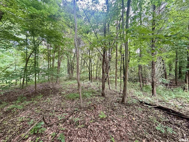 000 Birdwell Church Rd, Creal Springs, IL 62922