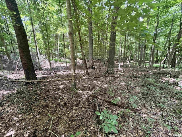 000 Birdwell Church Rd, Creal Springs, IL 62922