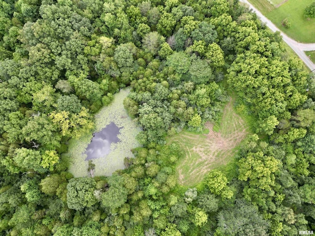 000 Birdwell Church Rd, Creal Springs, IL 62922