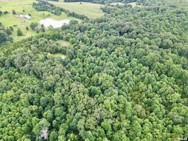 000 Birdwell Church Rd, Creal Springs, IL 62922