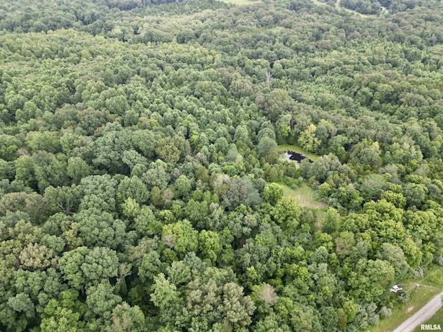 000 Birdwell Church Rd, Creal Springs, IL 62922