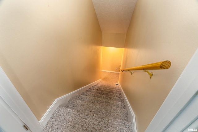 103 Woodland Trl, Anna, IL 62906 - stairway featuring carpet and a textured ceiling