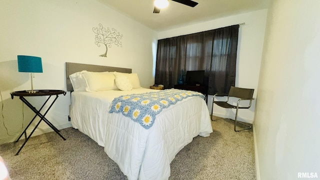 308 W Reed St, Benton, IL 62812 - bedroom with carpet and ceiling fan