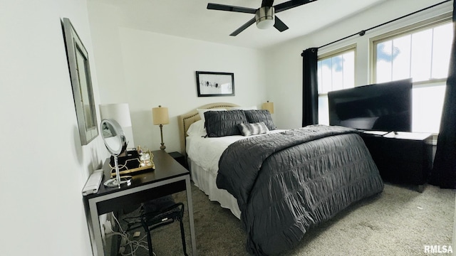 308 W Reed St, Benton, IL 62812 - bedroom featuring carpet and ceiling fan